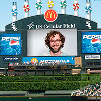 Cellular Field